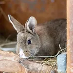 Am Schleifenbach 2 *