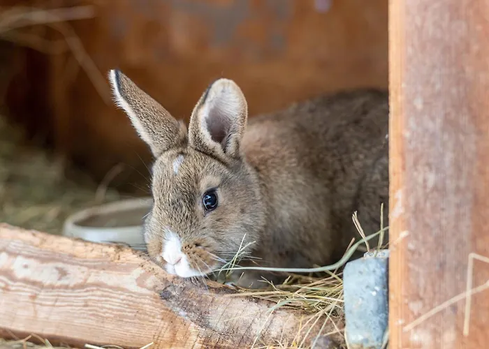 Am Schleifenbach 2 *